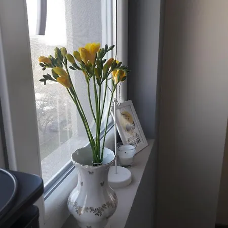 апартамент оскар Apartment